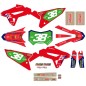 CRF 2024 GRAPHICS KIT REPLICA MORETTINI