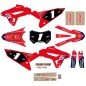 KIT GRAFICHE CRF 2024 REPLICA HOLCOMBE