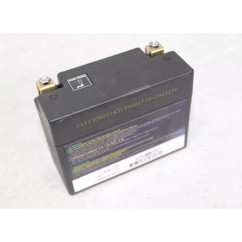 (HJ12L) (SKYRICH) POWER BATTERY