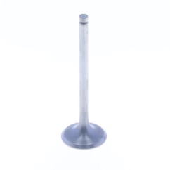 TITANIUM EXHAUST VALVE