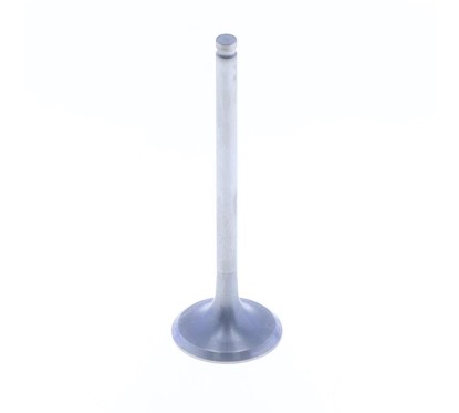 TITANIUM EXHAUST VALVE