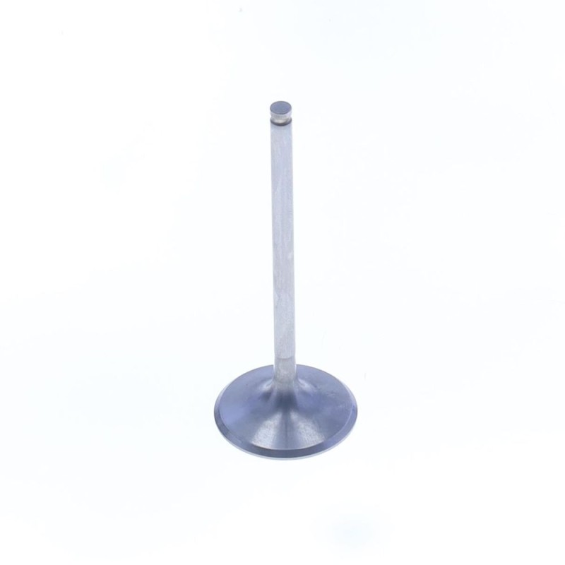 TITANIUM INTAKE VALVE