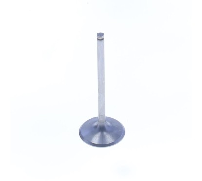 TITANIUM INTAKE VALVE