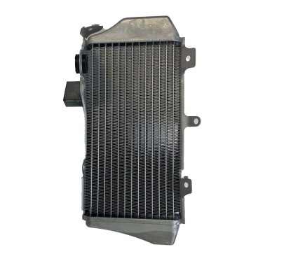 RADIATORE HONDA 250 SX DA 2022